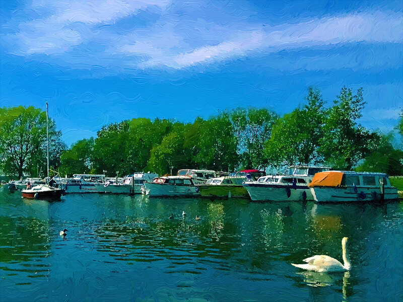 Swan on a River — Blue, Serene