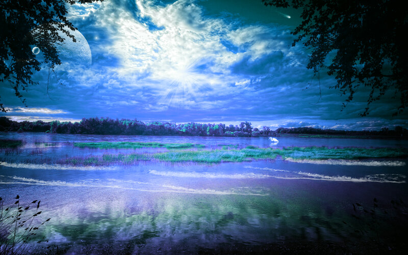 Swan on a River — Blue