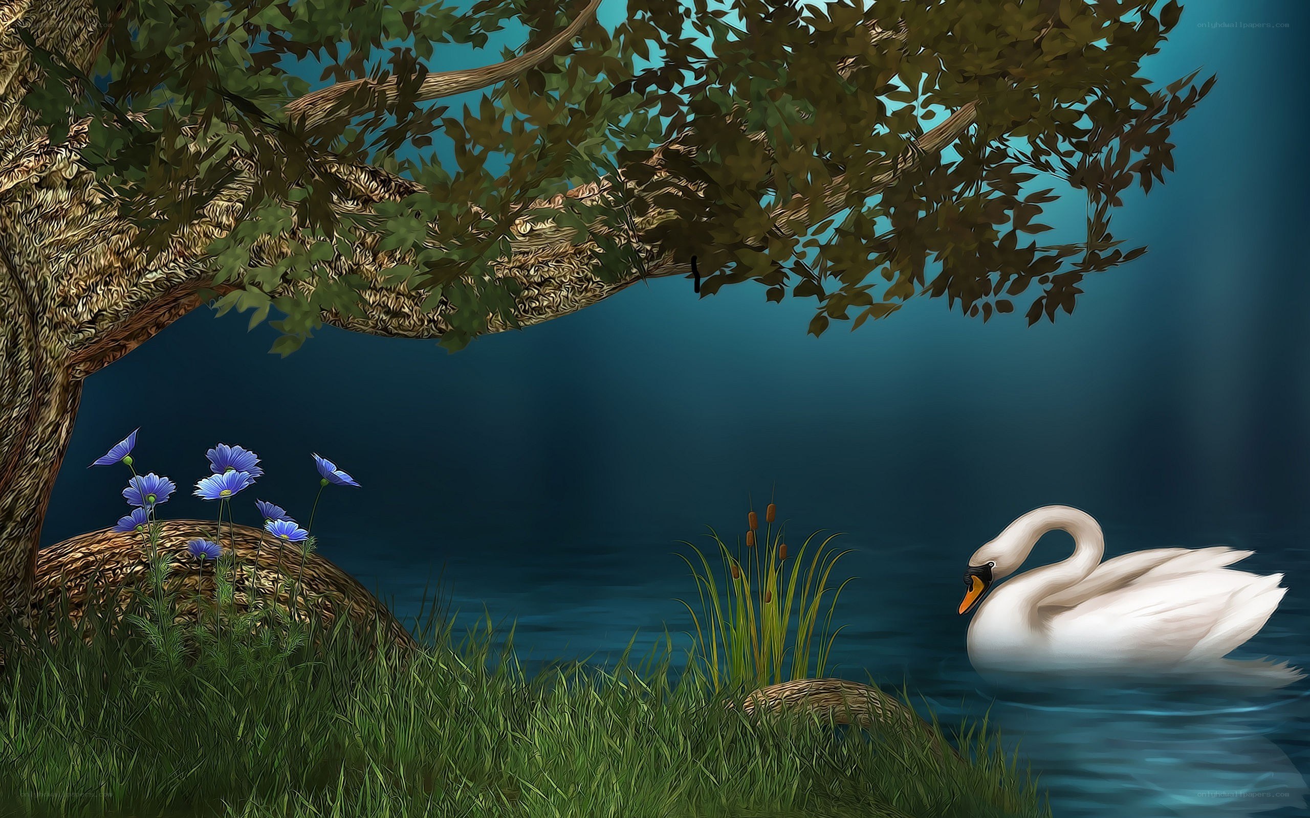 Swan on a tranquil lake
