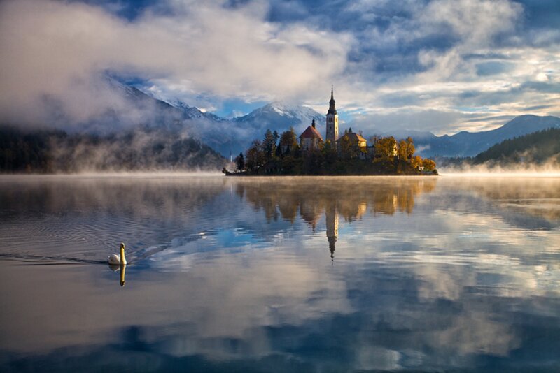 Swan on Lake — Blue, Serene, Morning