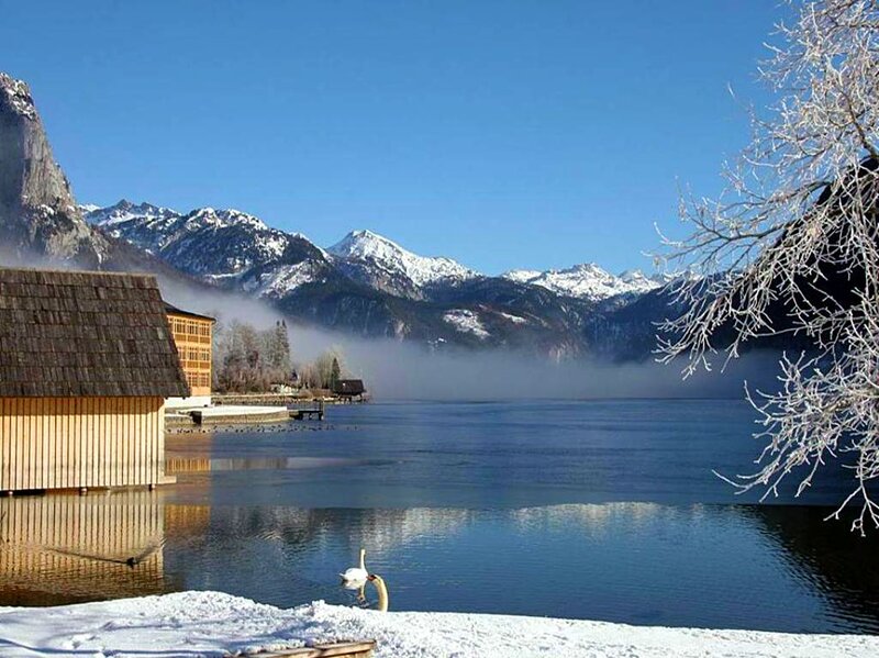 Swan on Lake — Blue, Serene, Winter
