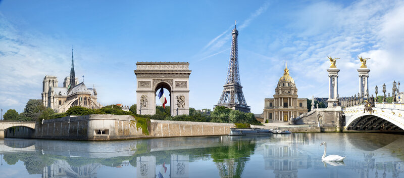 Swan on River Seine