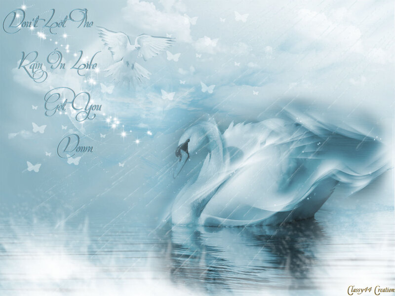 Swan on Water — Blue, Serene, Digital Art, Bird