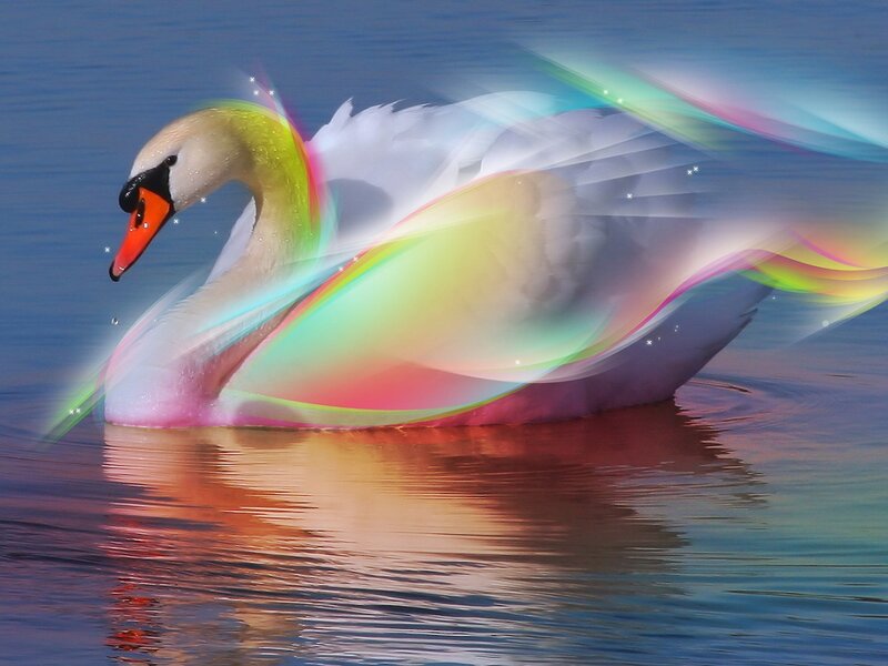 Swan on Water — Blue, Serene, Digital Art