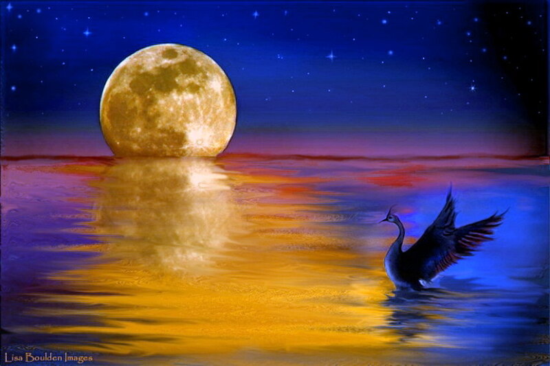 Swan on Water — Blue