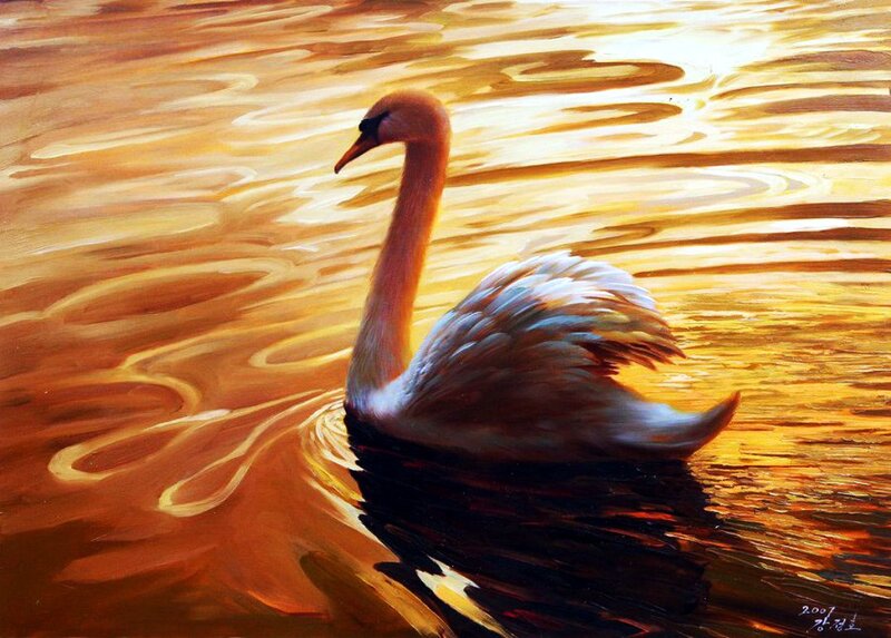 Swan on Water — Gold, Serene, Sunset