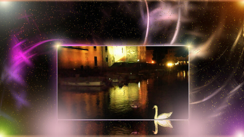 Swan on Water — Purple