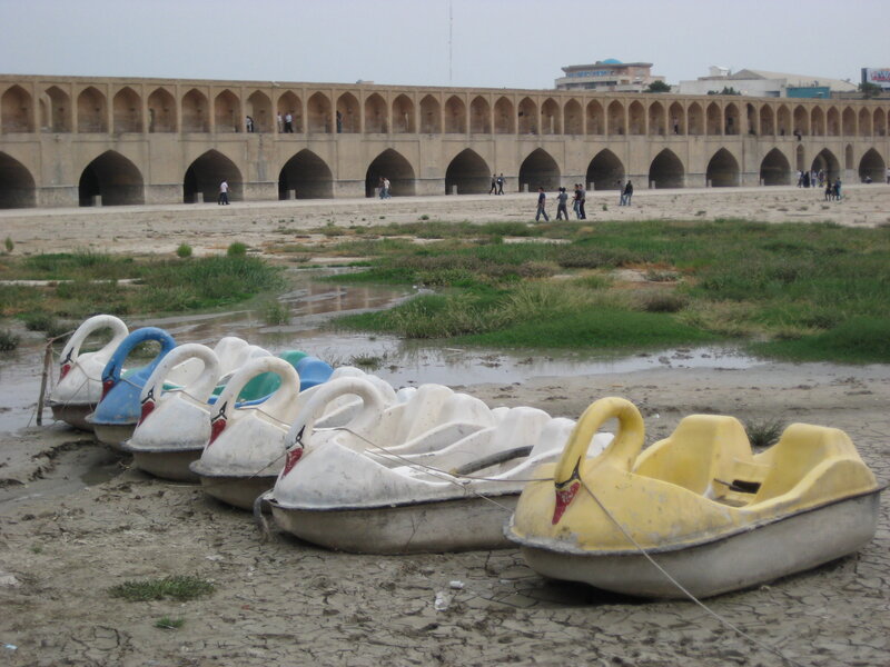 Swan Pedal Boats