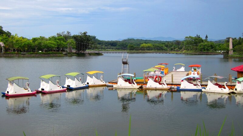 Swan-shaped Pedal Boats