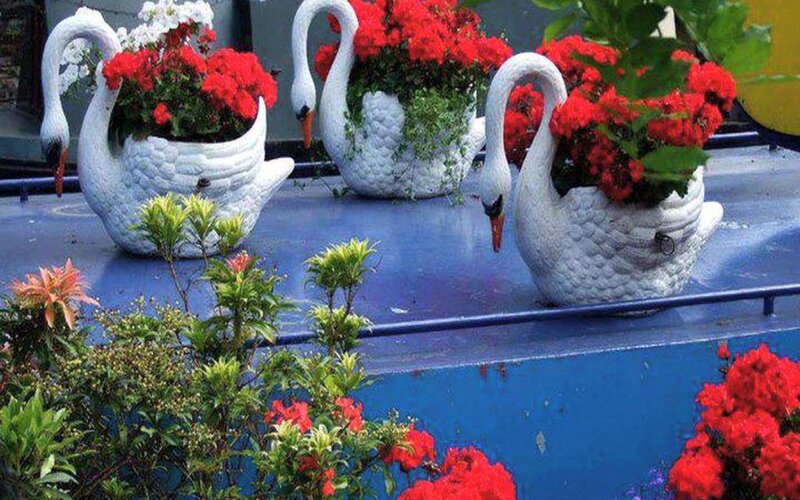 Swan-shaped Planters — White, Decorative