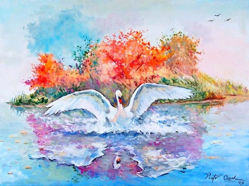 Swan Spreading Wings — Blue, Serene