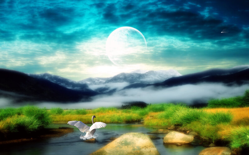Swan Taking Off from River