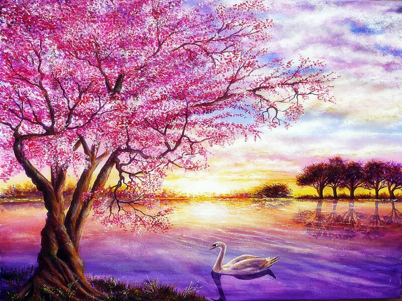 Swan under Cherry Tree