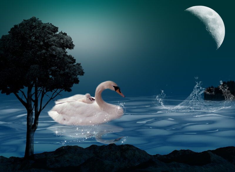 Swan with Cygnet — Blue