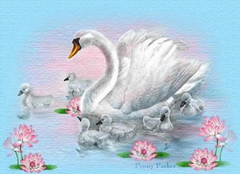 Swan with Cygnets — Blue, Serene, Illustration