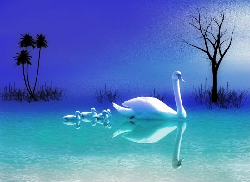 Swan with Cygnets — Blue, Serene, Night, Digital Art, Tree