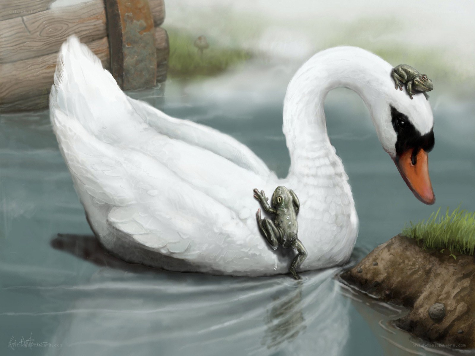 Swan with frogs on back