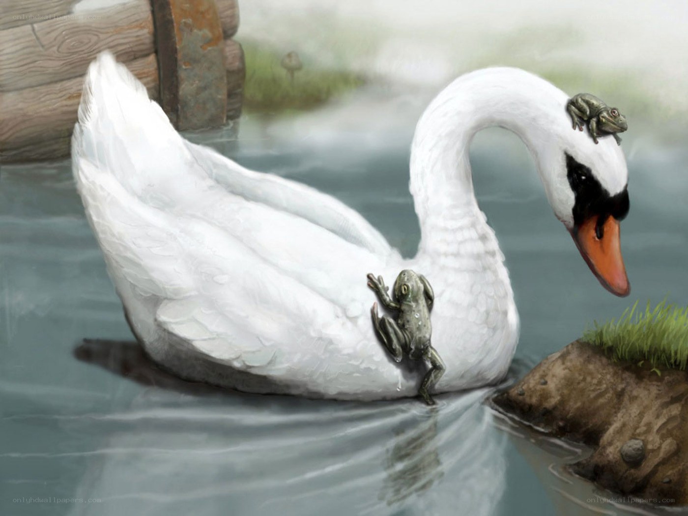 Swan with frogs on back