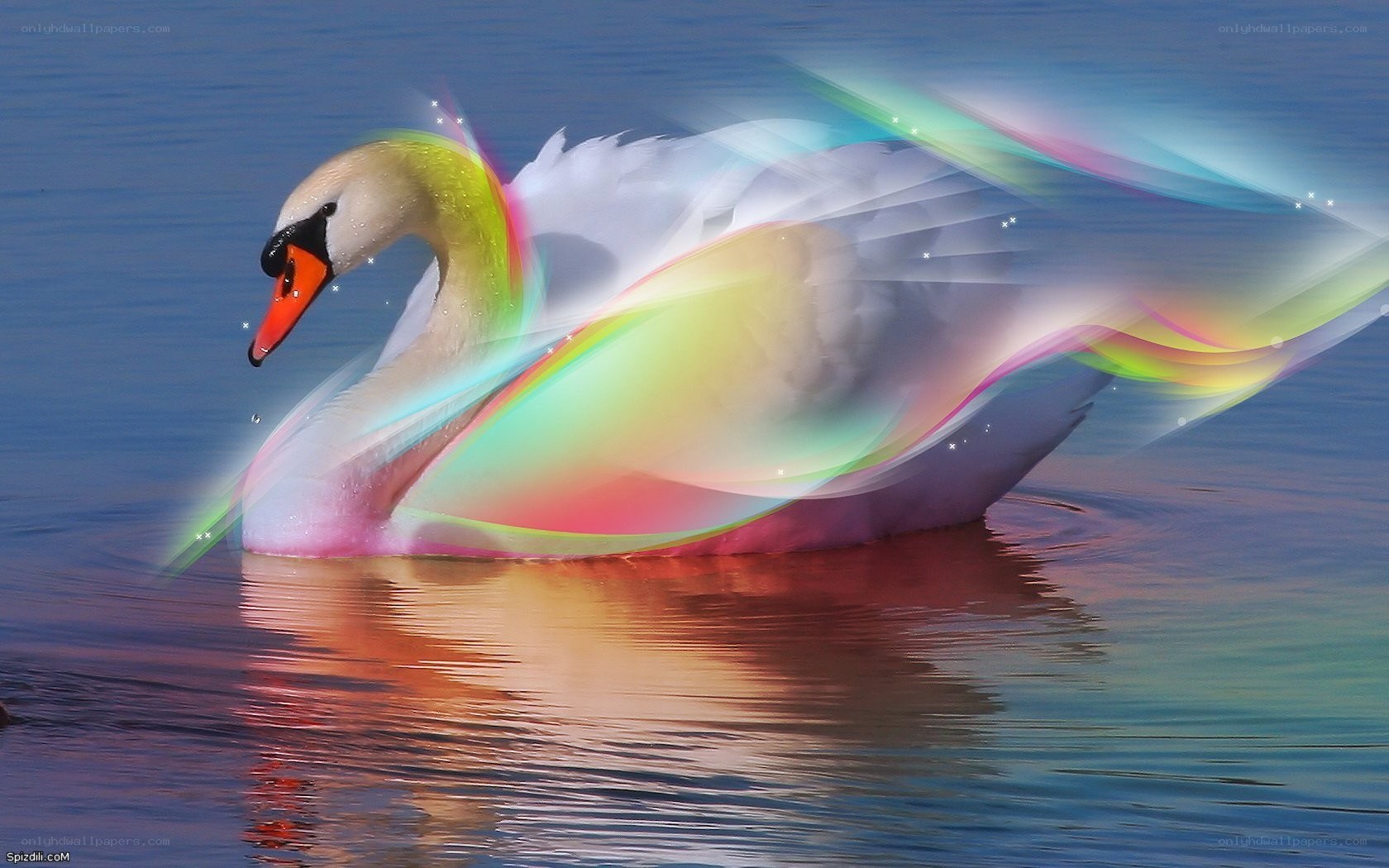 Swan with rainbow aura