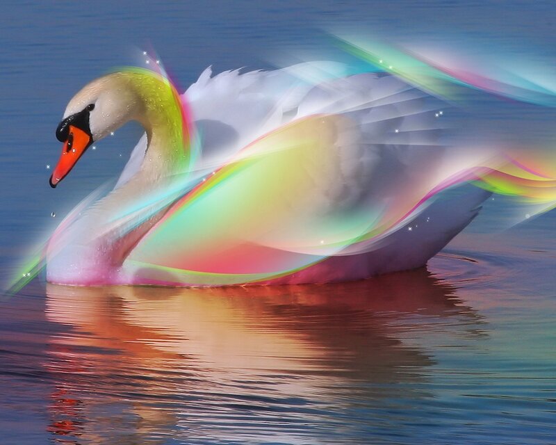 Swan with rainbow light effects