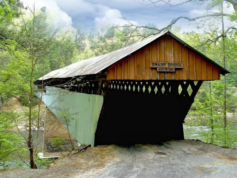 Swann Bridge in forest