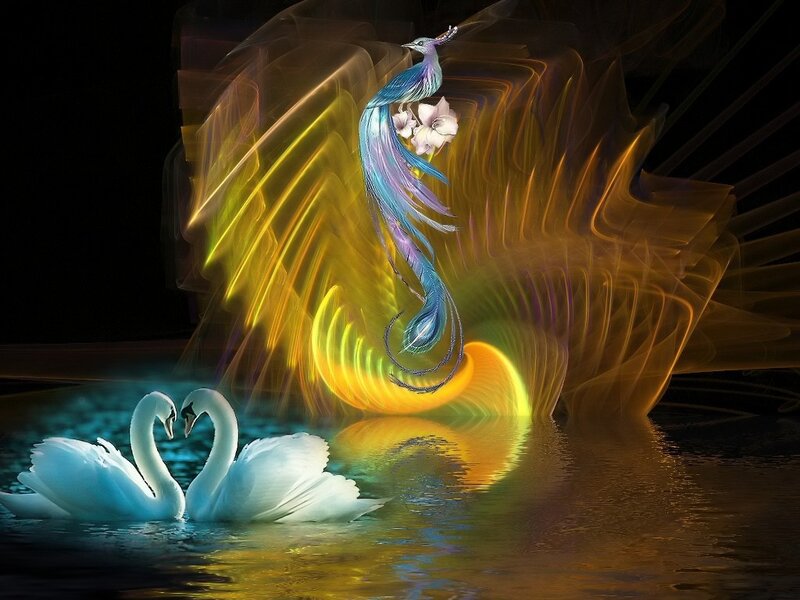Swans and a mythical bird