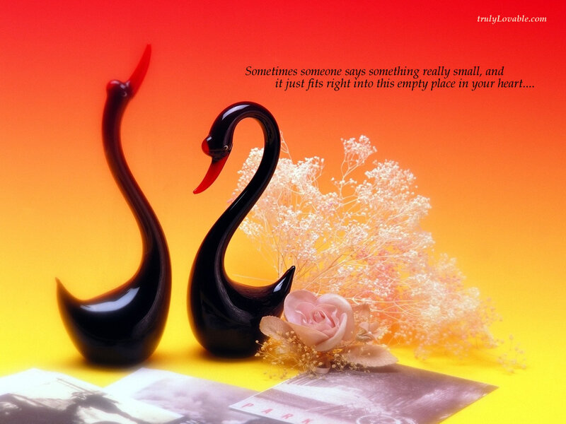 Swans and a rose