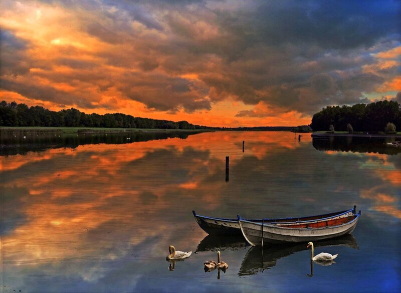 Swans and Boats on Lake