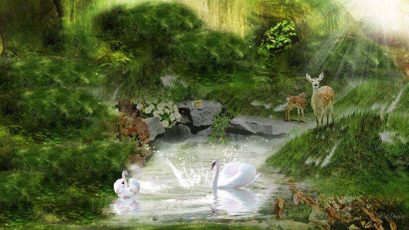 Swans and Deer in Pond