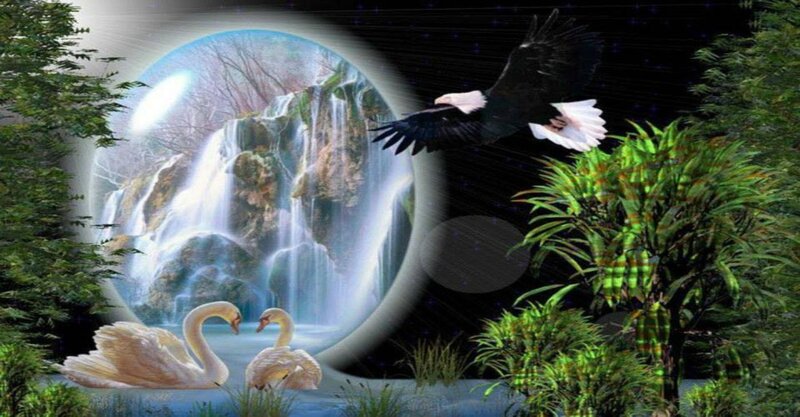 Swans and Eagle in Forest
