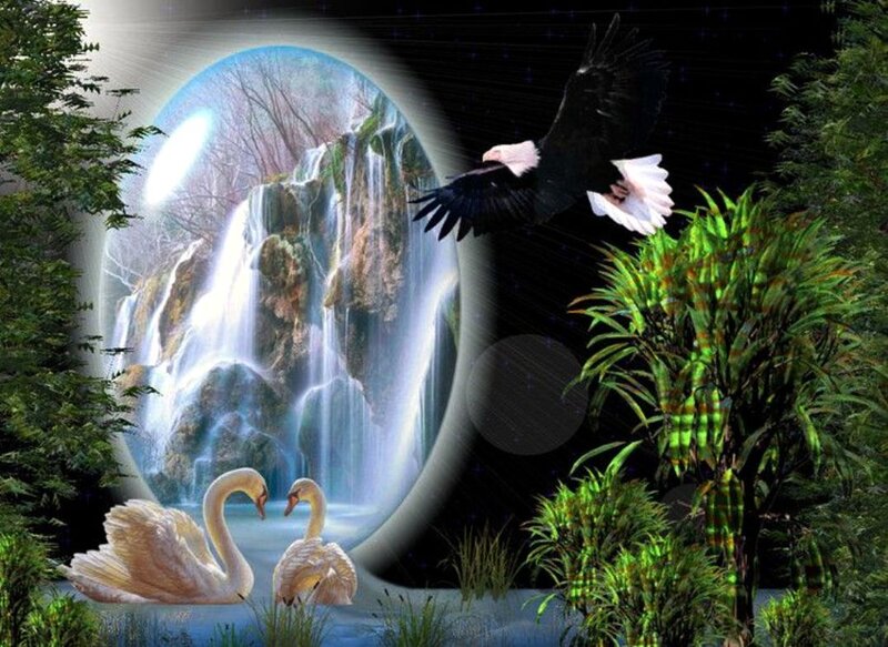Swans and Eagle Near Waterfall