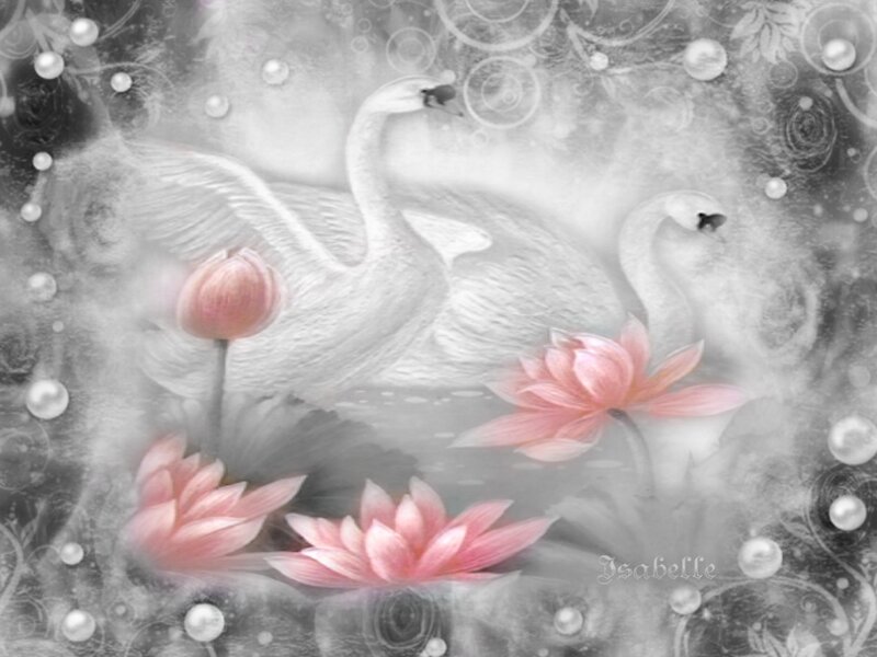 Swans and Lotus Flowers