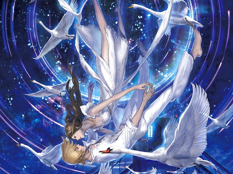 swans and lovers in a starry sky