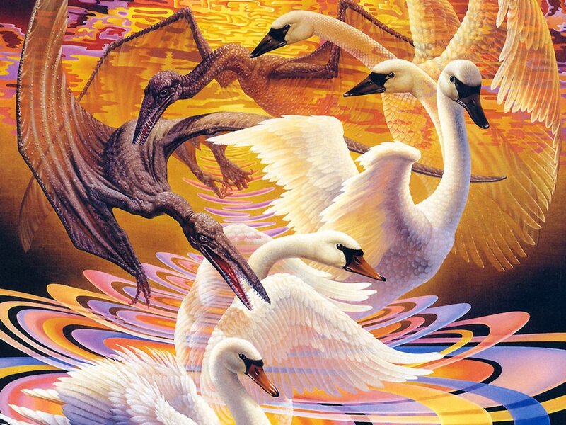 Swans and Pterosaurs