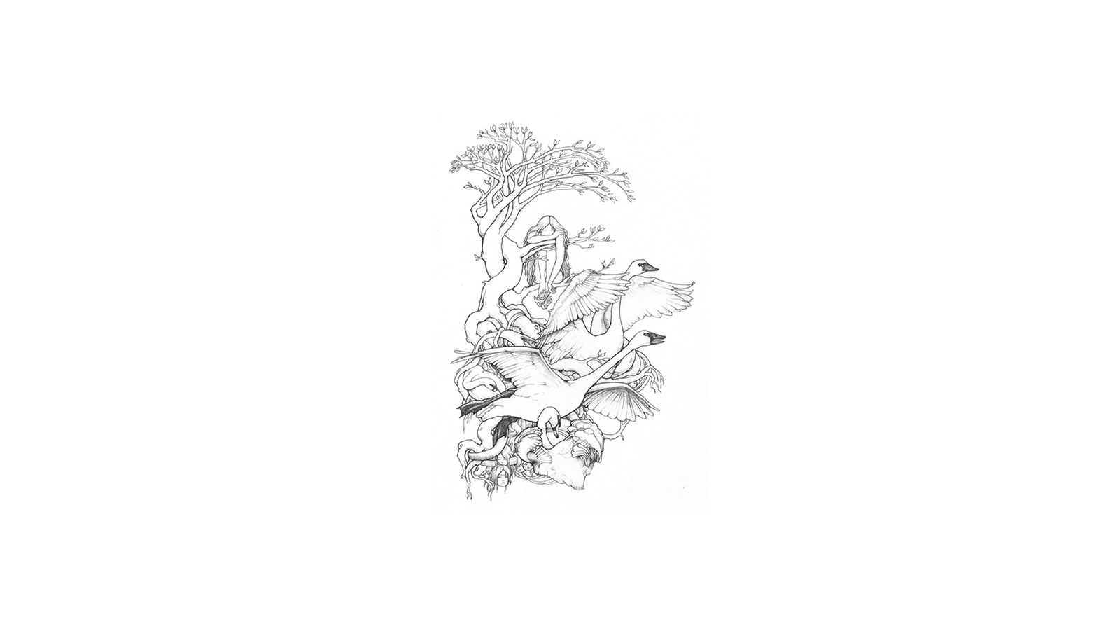 swans and tree sketch
