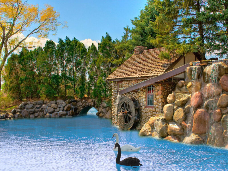 Swans at a watermill pond