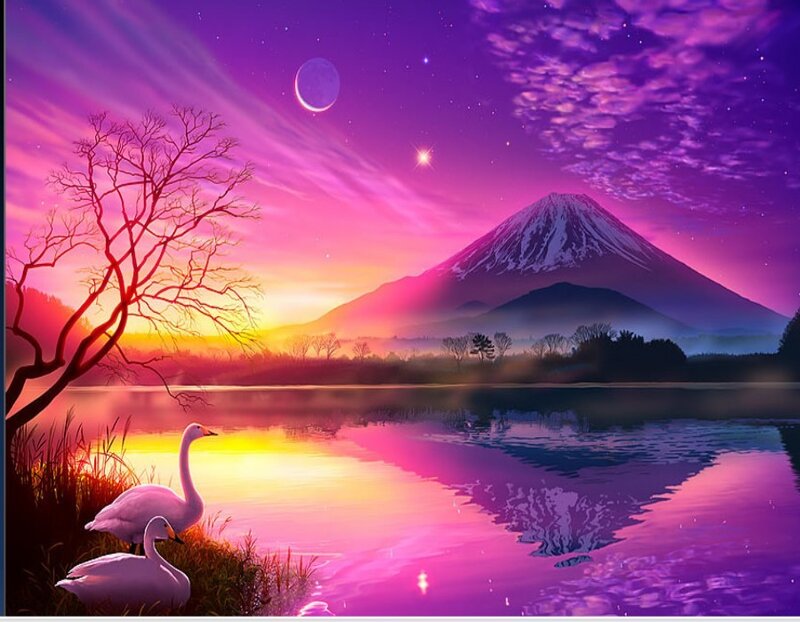 Swans by Lake at Dusk