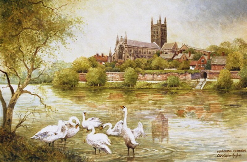 Swans by the Cathedral