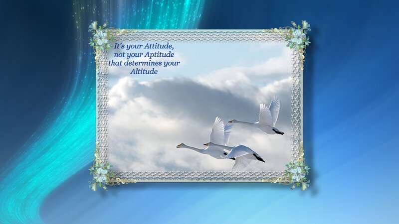 Swans Flying in Sky