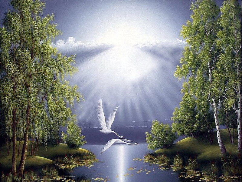 Swans Flying over Lake — Green