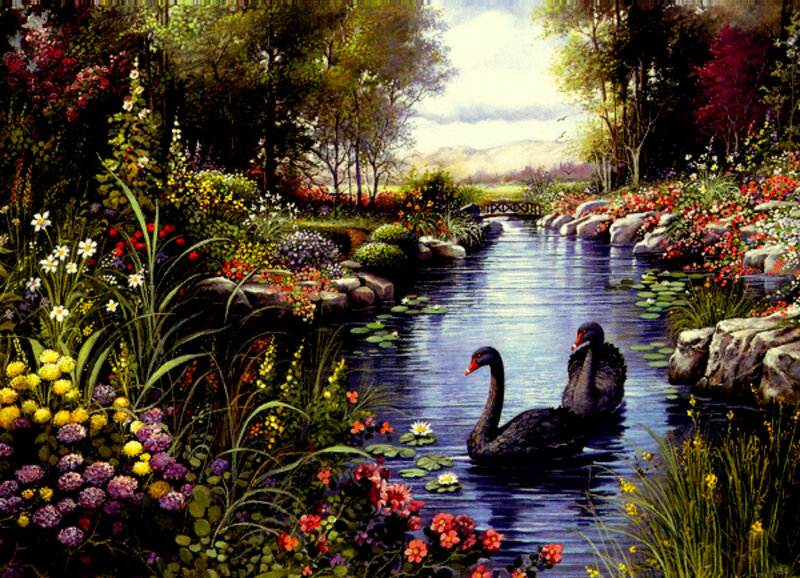 Swans in a garden pond