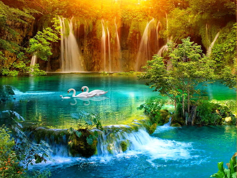 Swans in a Lake — Green
