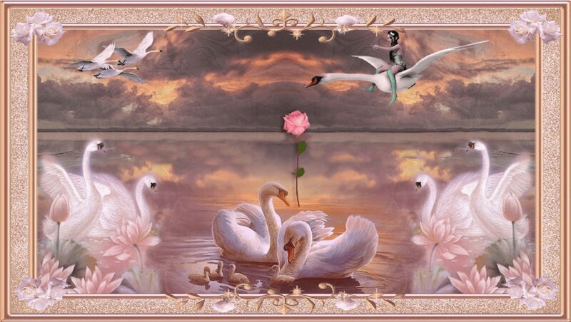 Swans in a Lake — Pink