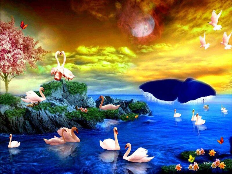 Swans in a Lake