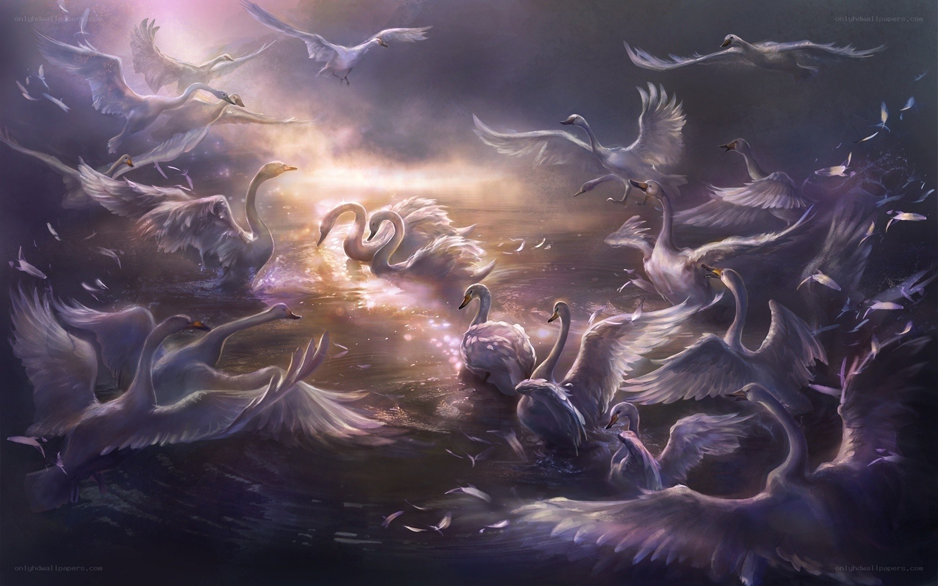 swans in a mystical light