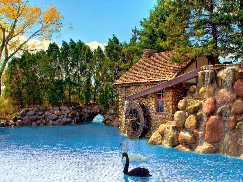 Swans in a Pond — Blue, Serene, Afternoon