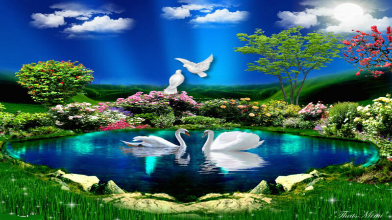 Swans in a Pond — Blue, Serene