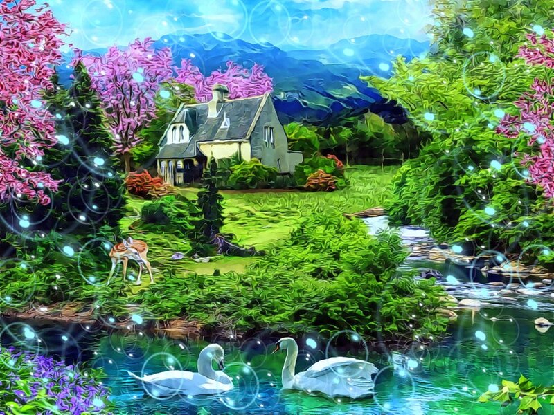 Swans in a Pond — Green, Serene, Spring