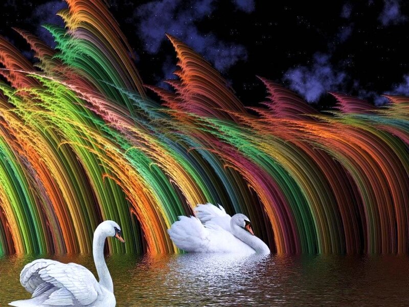 Swans in a rainbow landscape