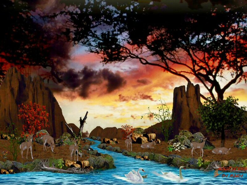 Swans in a River